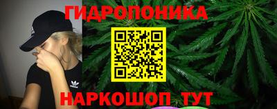 крисы Аша