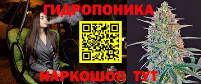 крисы Аша