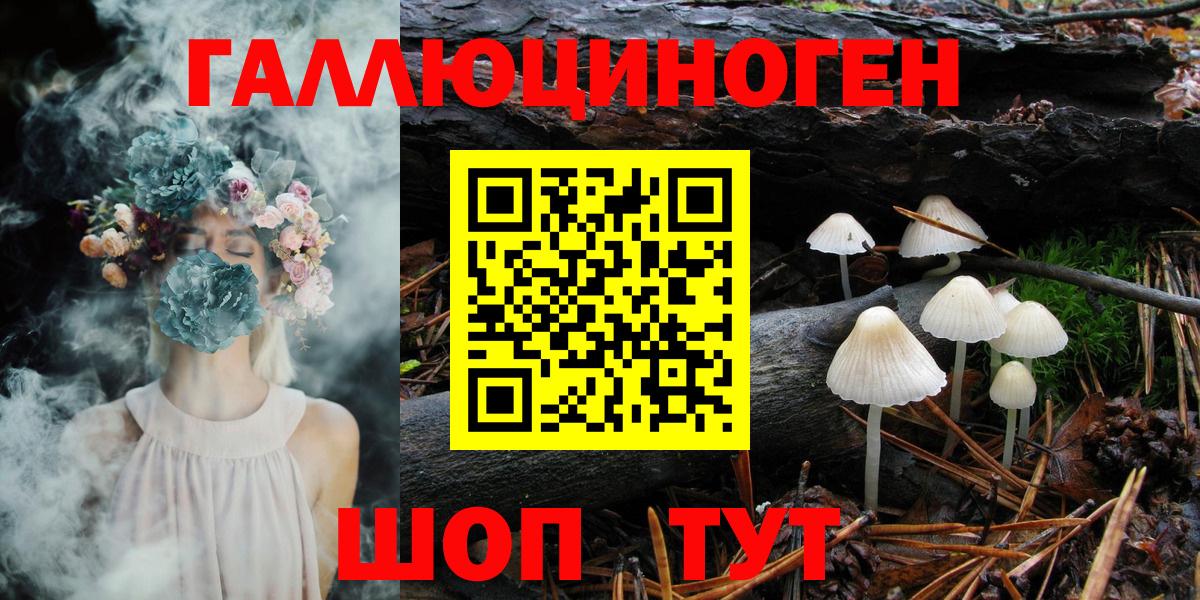 Псилоцибиновые грибы Psilocybe  Вход с VPN  Барнаул 